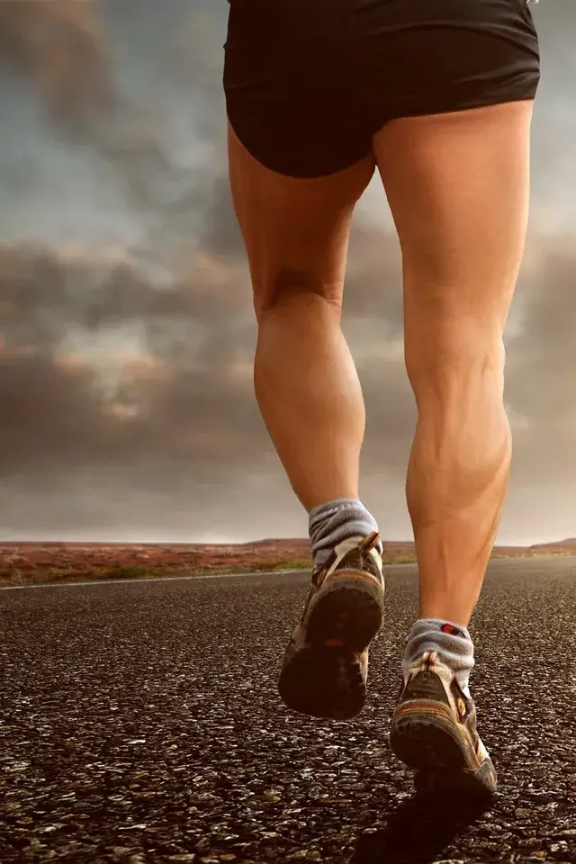 Images of 5 Exercises For Strong Legs