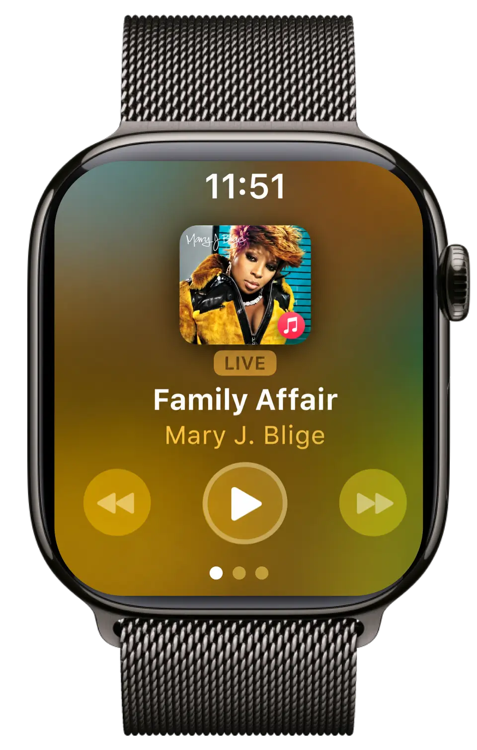 Music controls on Apple Watch